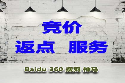 百度推广优化实战技巧与案例解析